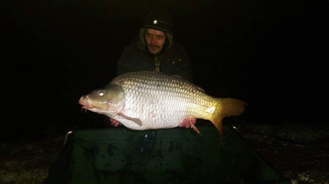 capturi 2016 - primul crap over 15 pe anul asta,mai exact 16,3 kg :)